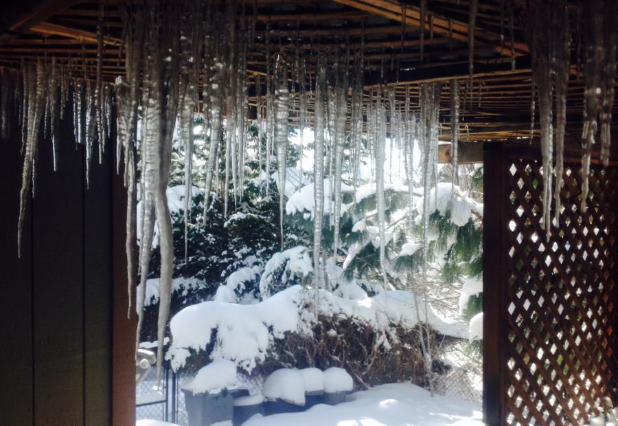 Deck Ceiling Icicles