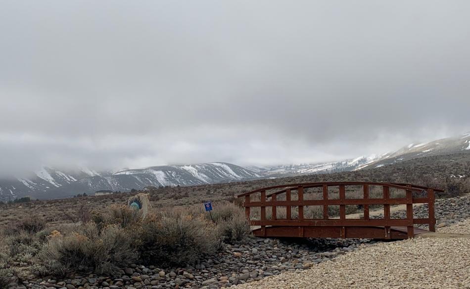 Valley rain and Sierra snow are expected to arrive later Tuesday. Photo by Kelsey Penrose
