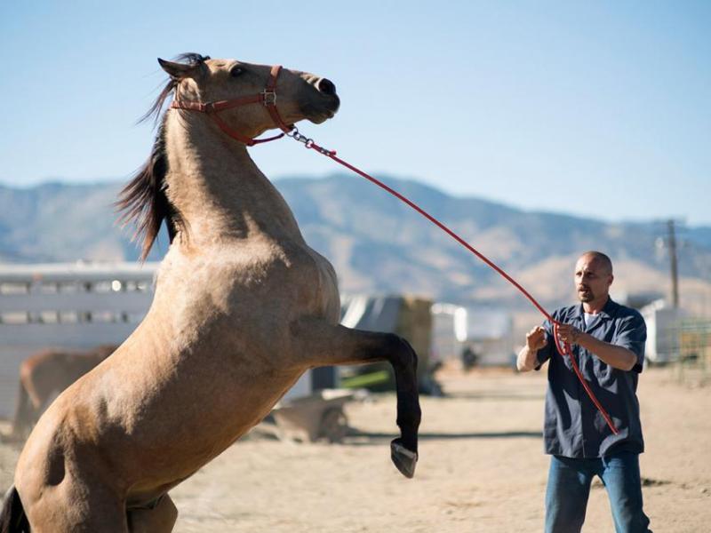 "The Mustang" was filmed at the historic Nevada State Prison in Carson City. Focus Features promotional photo.