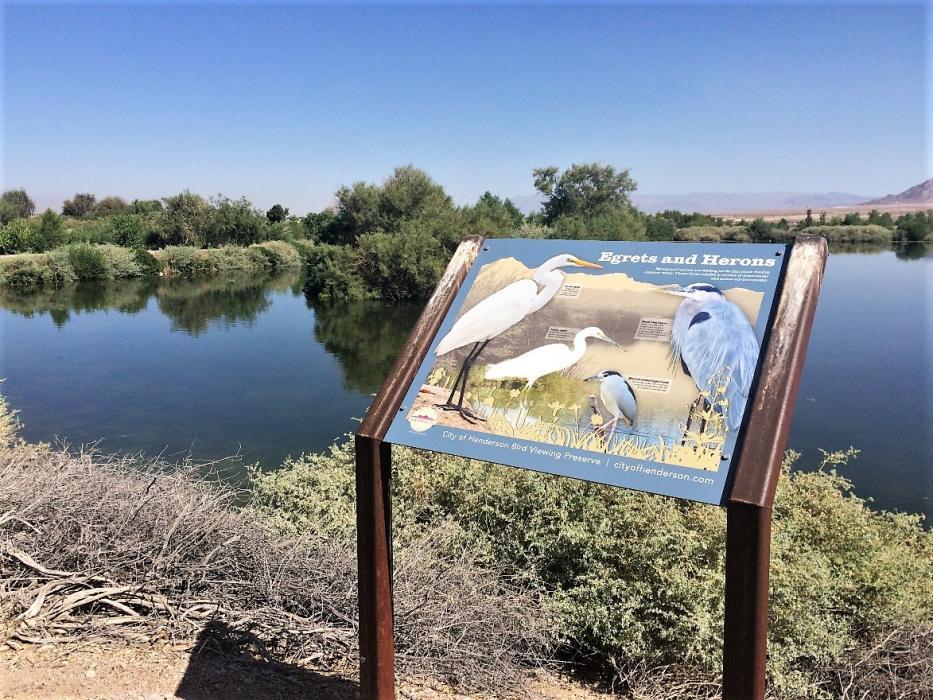 Henderson Bird Viewing Preserve