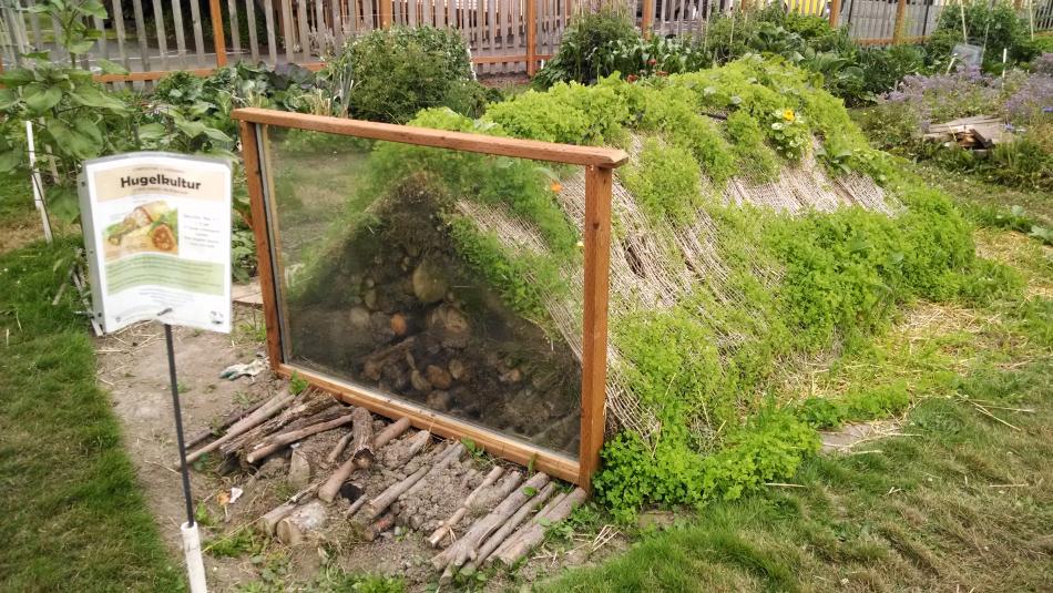 Woody debris and other matter breaks down over time providing nutrients for plants. Washington State University photo.
