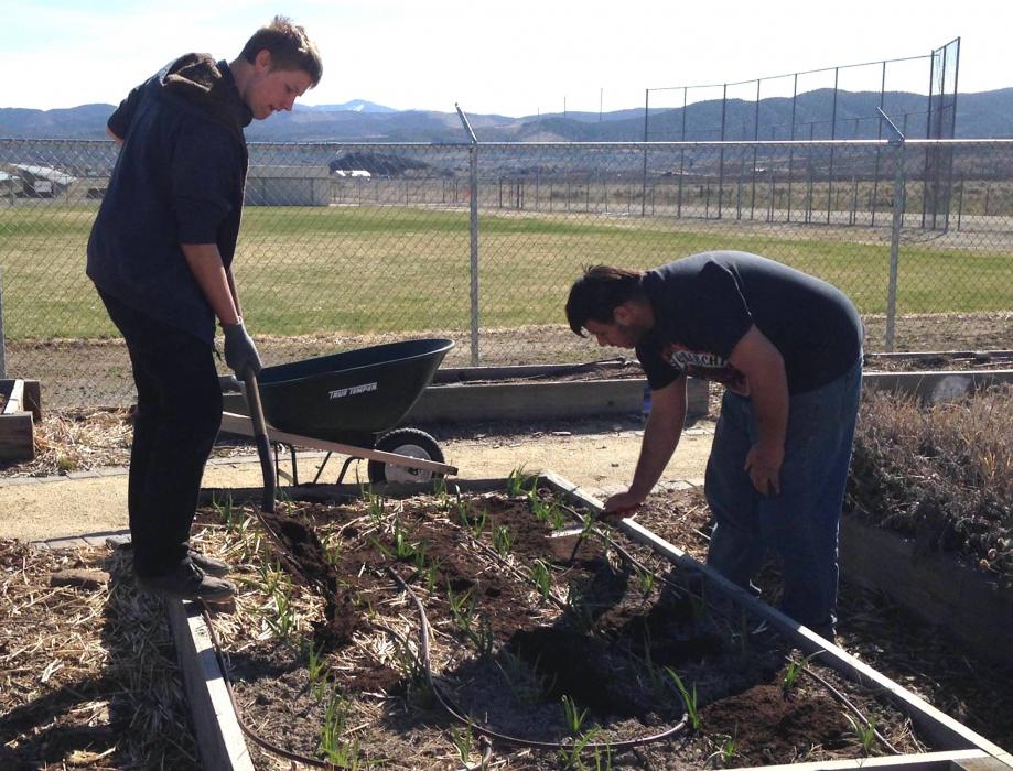 A soil with good structure, a sufficient number and size of pore spaces will help plants thrive. Greenhouse Project photo