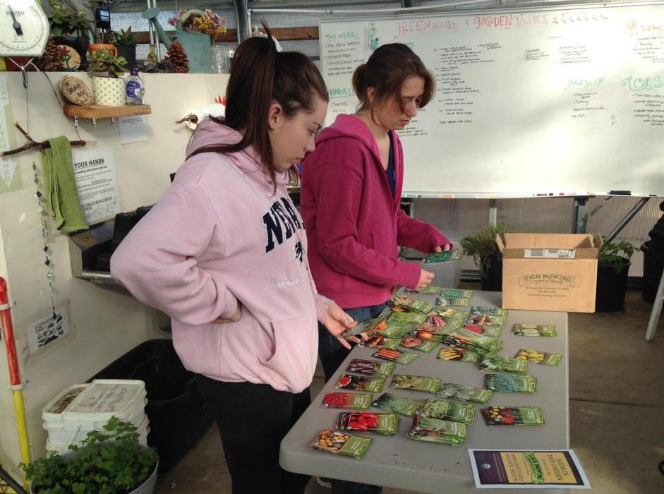 A seed packet provides information such as name, variety, and planting directions such as depth. Photo by The Greenhouse Project