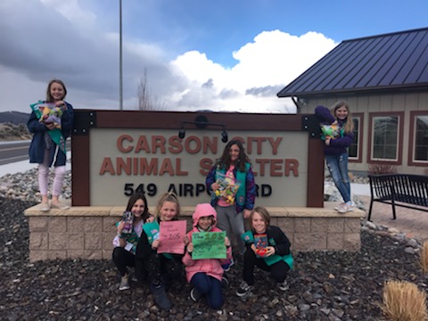 Girl Scout Juniors donate catnip toys to local shelter