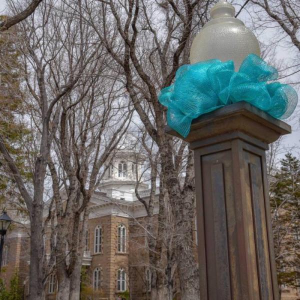 Photo by Tanja Musselman. With sunny skies ahead, go out and enjoy a nice walk through the state capitol complex.
