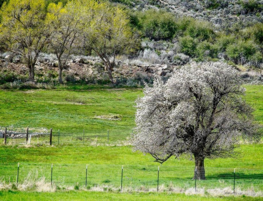 Photo by Tanja Musselman. Another beautiful Spring day ahead going into Easter weekend.
