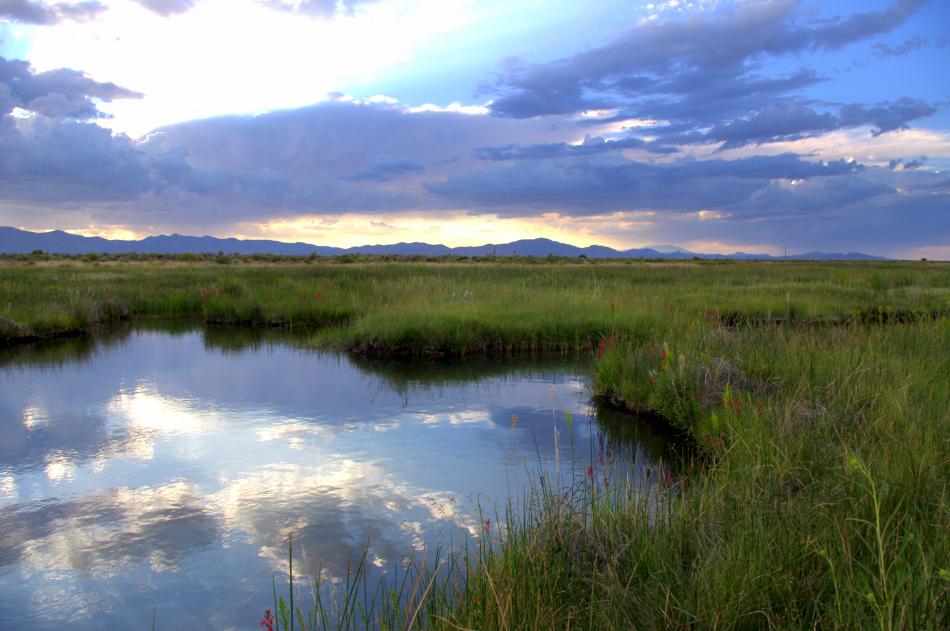 Two-thirds of threatened and endangered species live exclusively in Nevada wetlands.