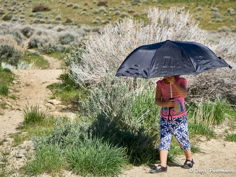 Umbrella with Child