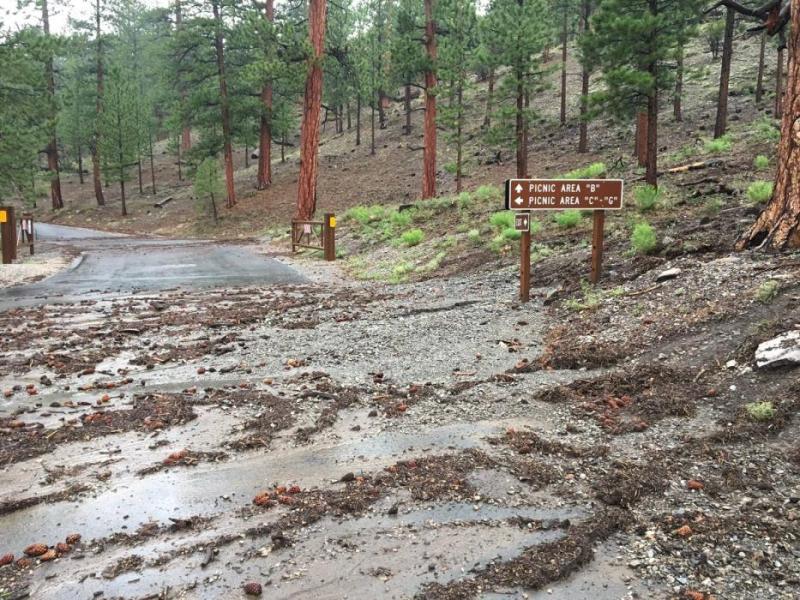 Humboldt-Toiyabe National Forest file photo
