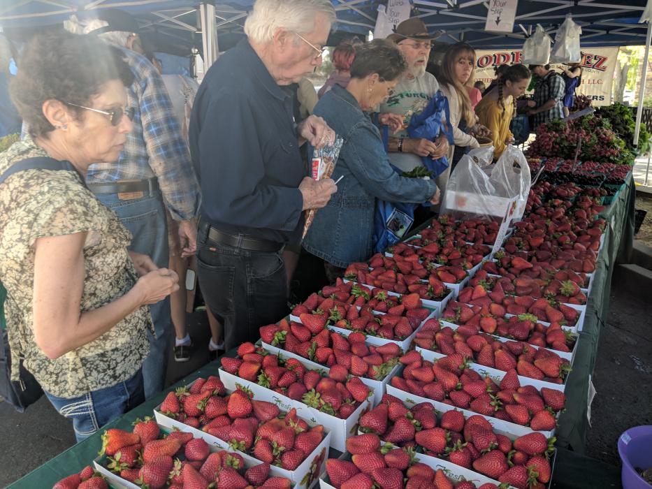 Hundreds of attendees filled their bags to the brim full of fresh-picked fruits and vegetables.