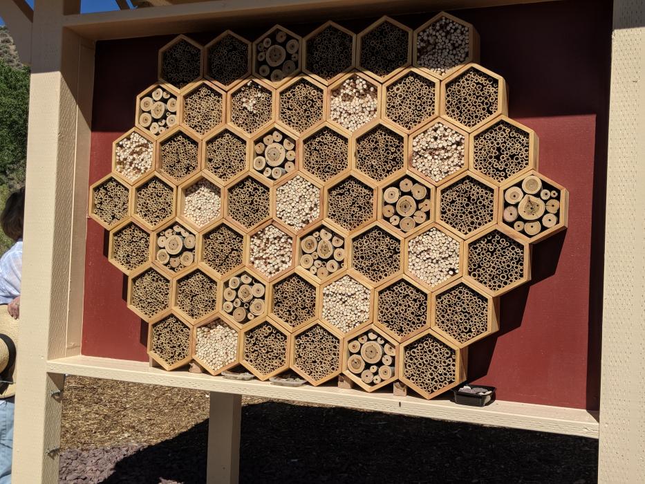 The bee hotel is up and running.
