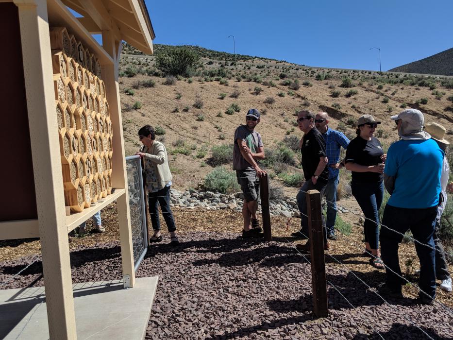 Mayor Crowell also took part in a bee hotel demonstration.