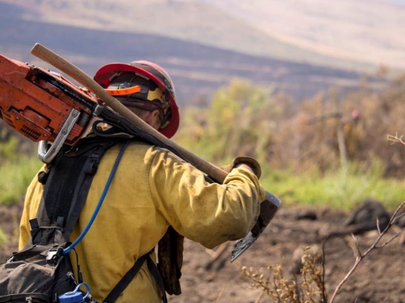 A firefighter responds to the Owyhee Fire on July 21, 2018. Naaman Horn, BLM Nevada