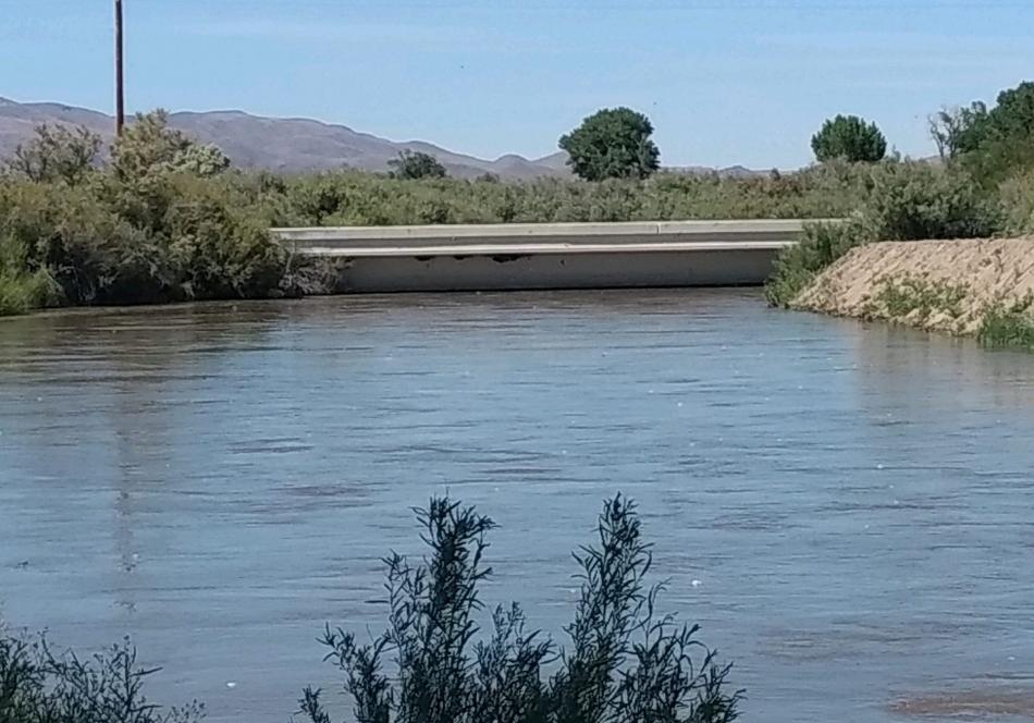 The Walker River at the Miller Lane bridge. Photo courtesy: Lyon County