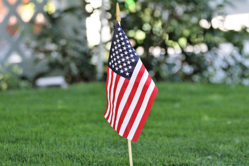 A miniature American flag planted in front of a residence on W. Robinson Street.