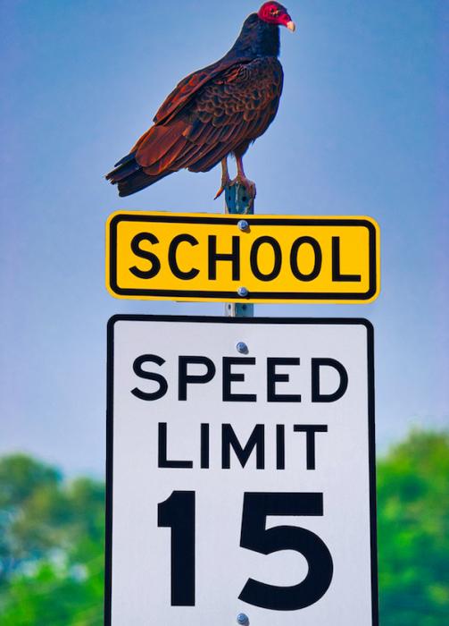 Photo illustration by Scott McDaniel