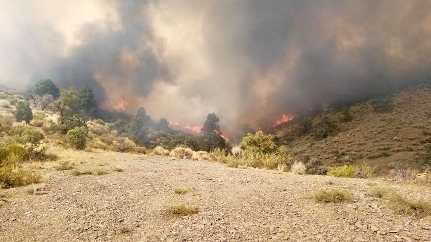 Reader Michelle Pedersen submitted this photo sent to her from her husband who is fighting the fire.