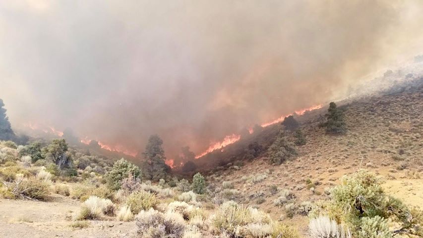 Reader Michelle Pedersen submitted this photo sent to her from her husband who is fighting the fire.