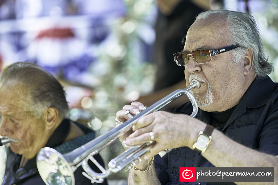 Wayne Theriault, Trumpet