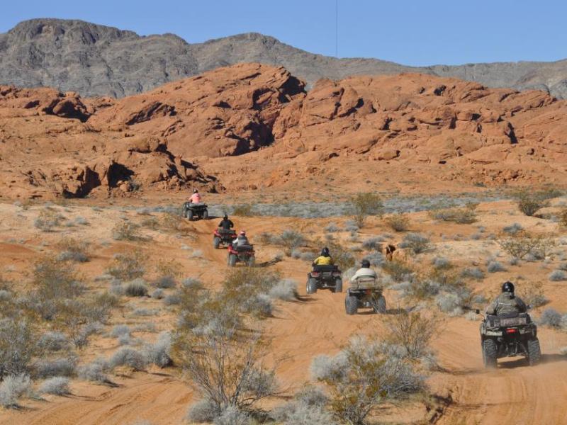Nevada Off-Highway Vehicles Program photo of Logandale Trails.