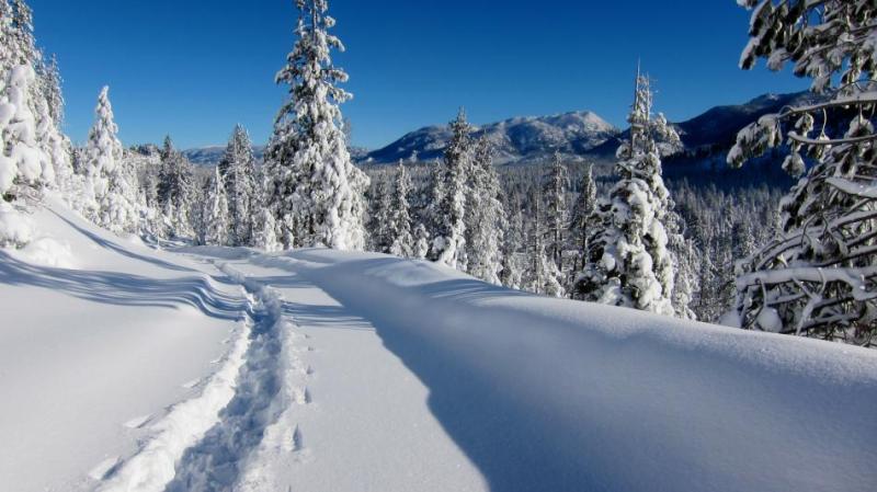 Photo of Freel Peak by Jonathan Cook-Fisher, U.S. Forest Service