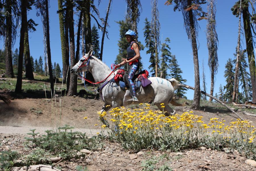 Riley McHenry was the youngest entry, and one out of 99 riders in a field of 184 to finish the 100-mile Tevis Cup endurance race