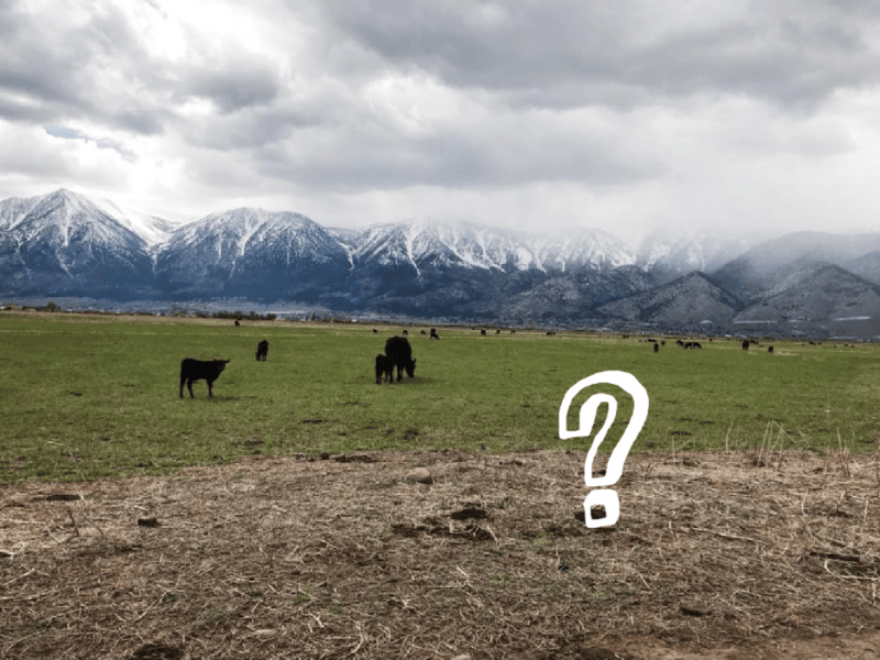 (Photo not associated with clue)