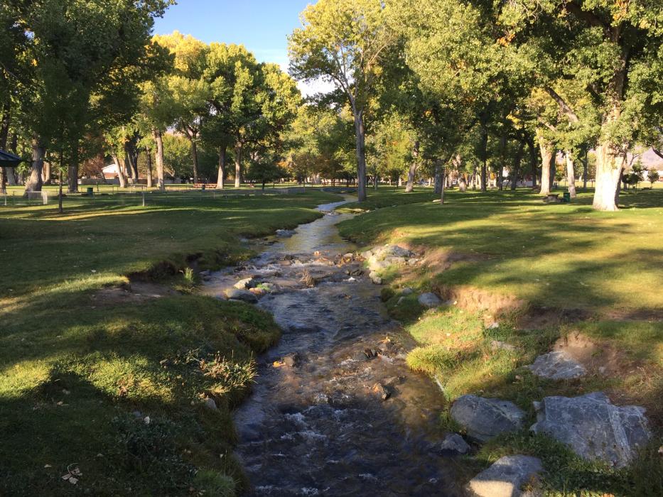 The turning of the leaves continues at Mills Park in Carson City.