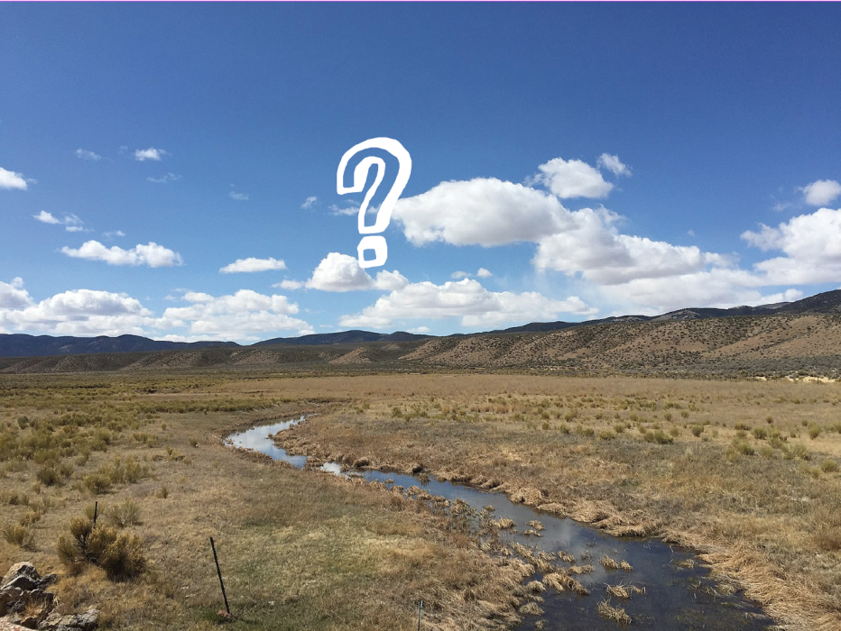 (Photo not associated with clue)