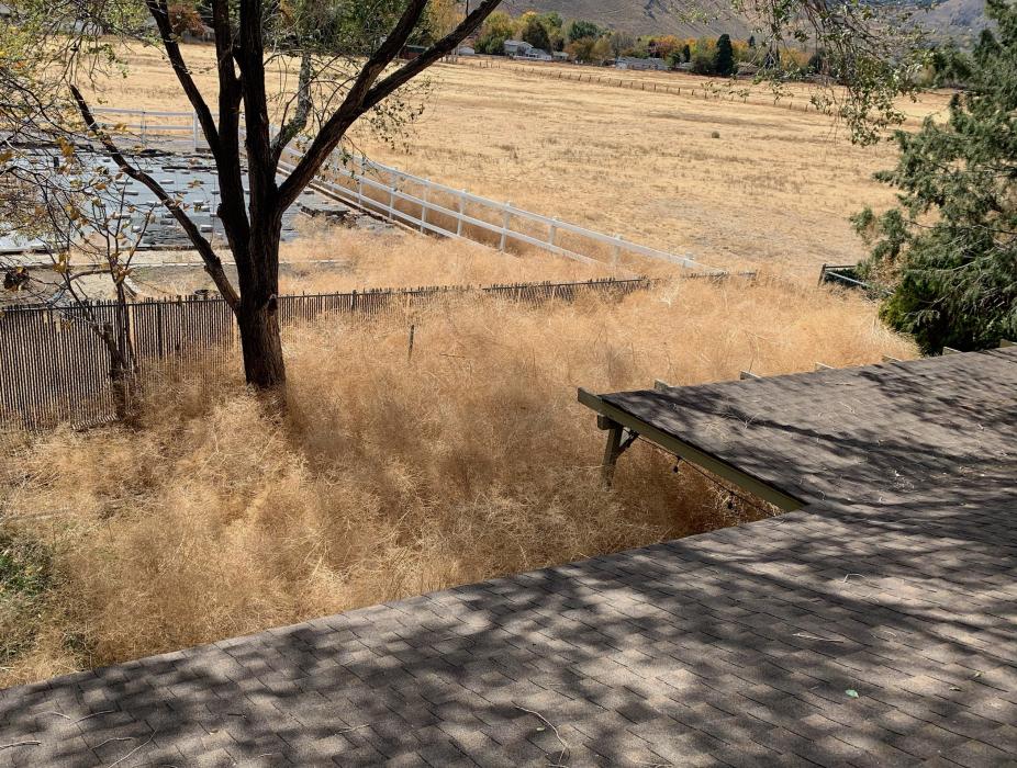 A view from Alicia Timoff's roof of her one-story home taken over by tumbleweeds