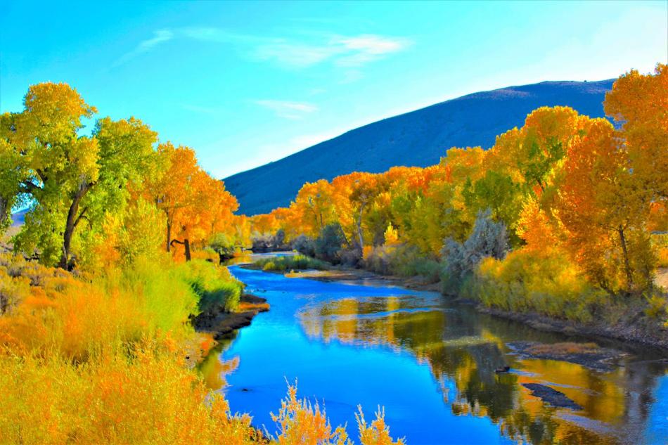 Photo by Brett Fisher. Fall colors along the Carson River.