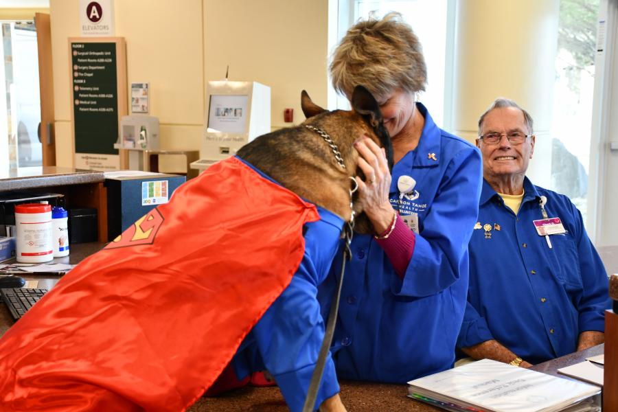 K-9 Officer Tarzan at Carson Tahoe Health