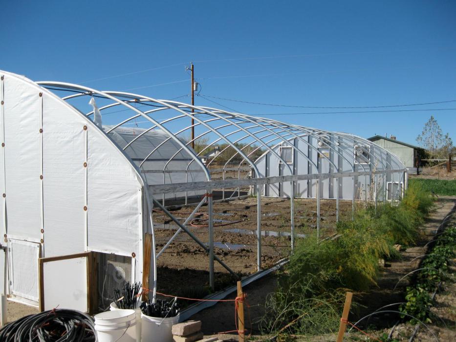 Fall planting file photo by Grow Your Own Nevada