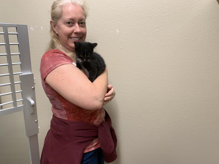 Kathryn Sibley, volunteer pictured with kitten
