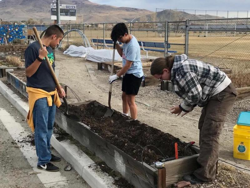Before the snow began to fly, fall planting took place at Greenhouse Central at the CHS campus.