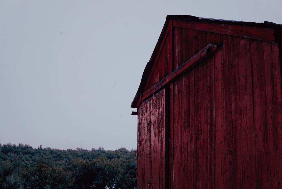 Photo by Kelsey Penrose