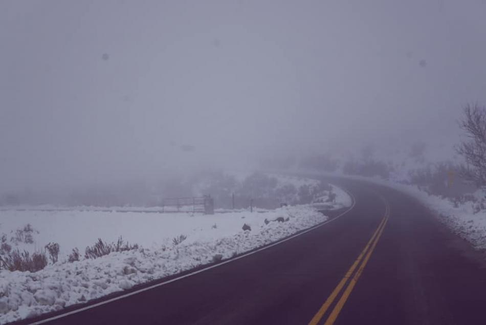 Photo by Kelsey Penrose