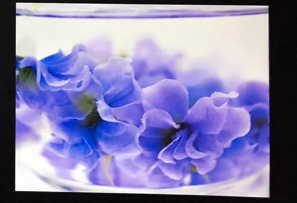 CHS student artwork from teacher Kara Ferrin’s Advanced Photography.