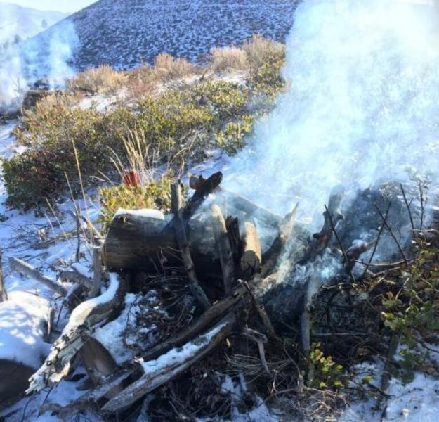 Carson City Fire Department Prescribed Burning Operations