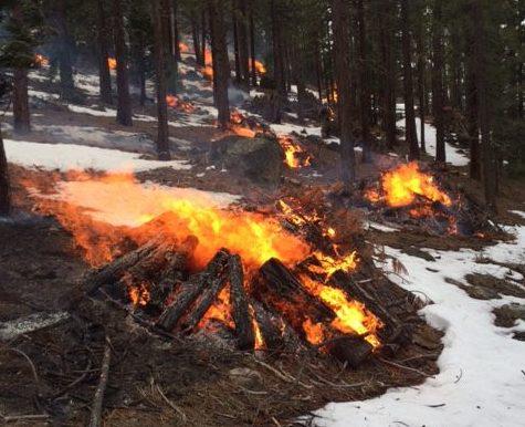 U.S. Forest Service file photo