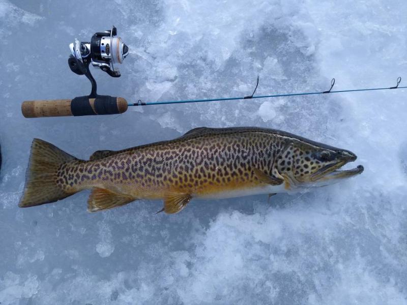 Photo by Jim Stark. Taken at Spooner Lake in December