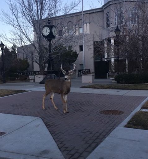 Reader Katerina Rakow sent in this photo of the befuddled legislator