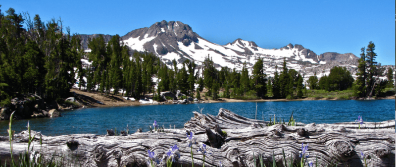 Carson Pass
