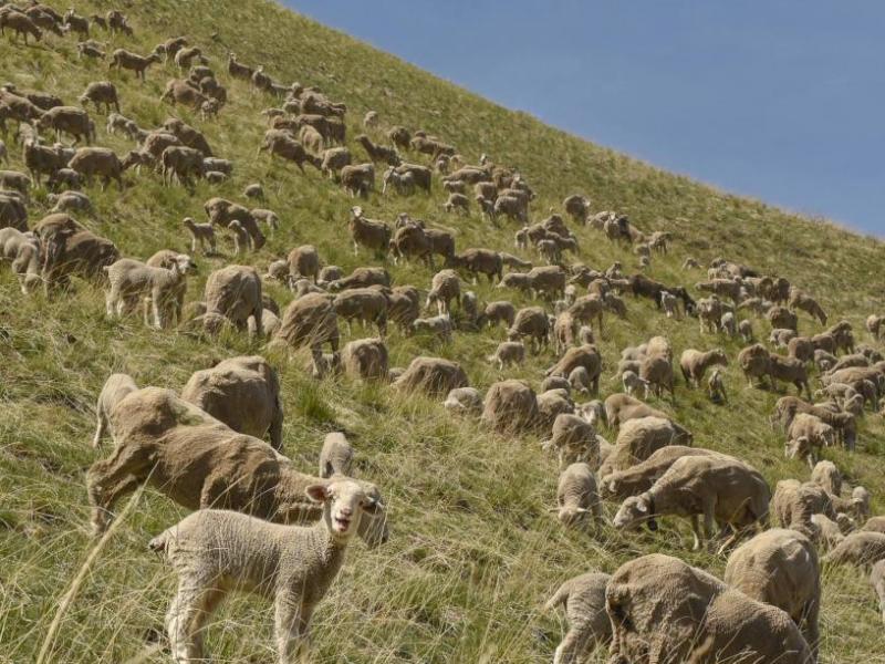 File photo by Tanja Musselman