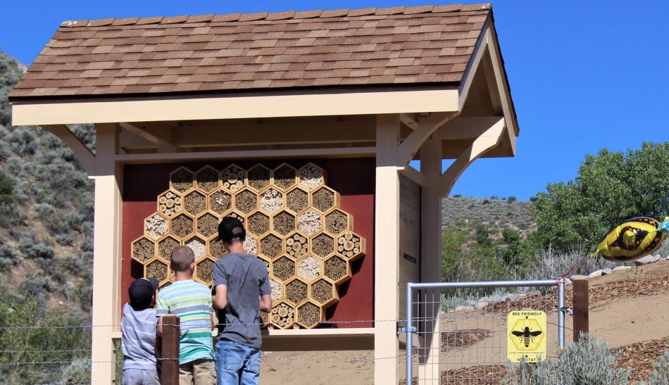 The leadership class built the bee habitat in 2019 behind the CTH Cancer Center. The 2020 class will continue the mission.