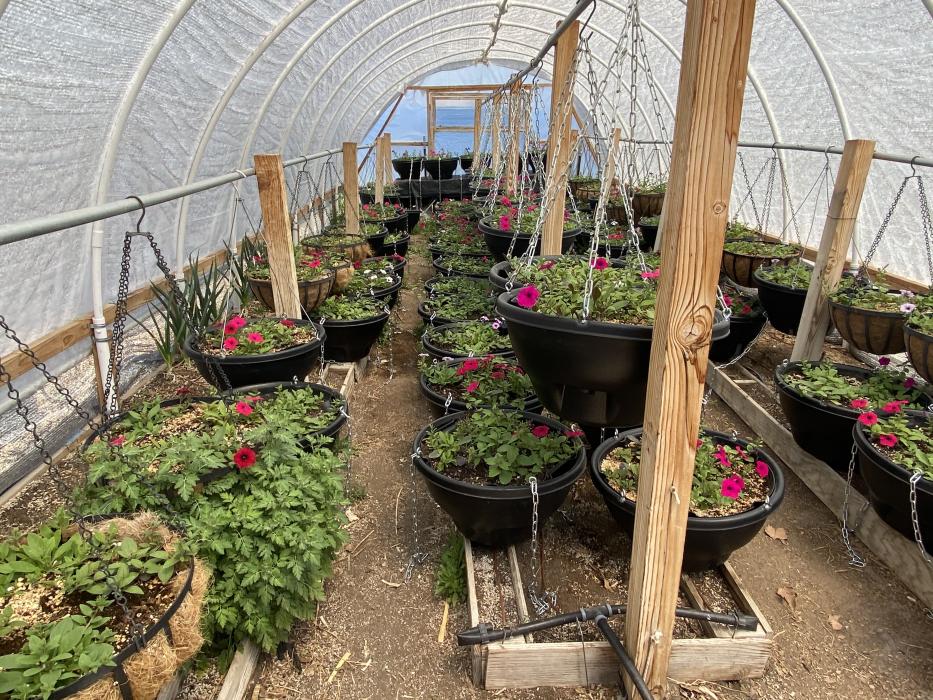 The Downtown Flower Baskets are one of TGP's service projects to give back to the community
