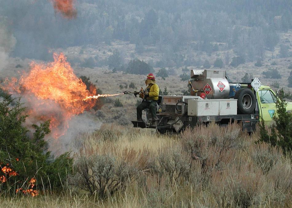 Bureau of Land Management, Nevada firefighters burn brush to reduce fuel loads.