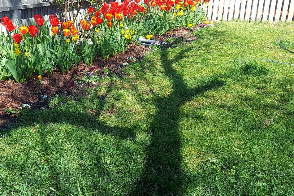 Photo by Wendy Hanson Mazet, UNR Cooperative Extension.