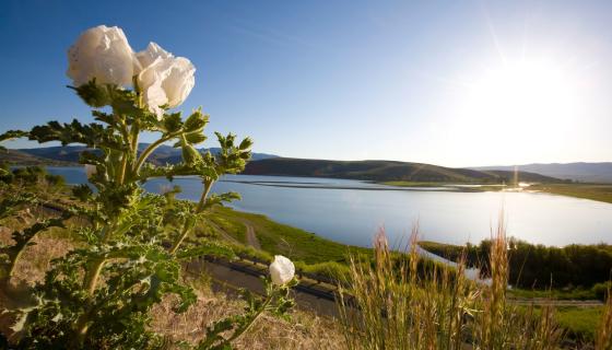 Courtesy of Mono County Tourism