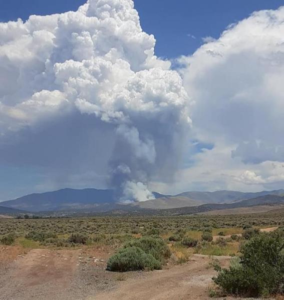 Photo courtesy of Douglas County. Photo credit Mike Herron.